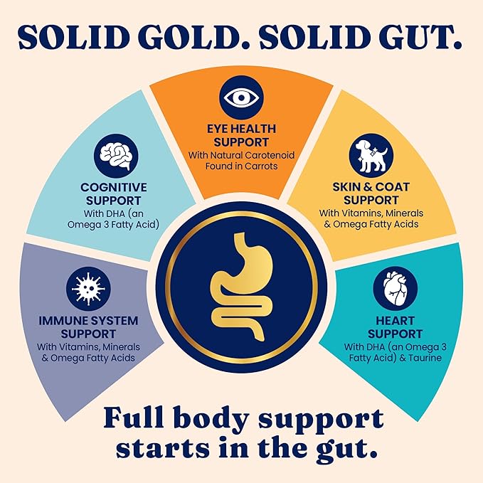 Solid Gold Indoor Dry Cat Food - Grain Free & Gluten Free - Chicken Cat Food Dry Kibble for Indoor Cats w/Probiotics & Fiber for Gut Health - Sensitive Stomach & Hairball Support for Adult Cats - 3LB