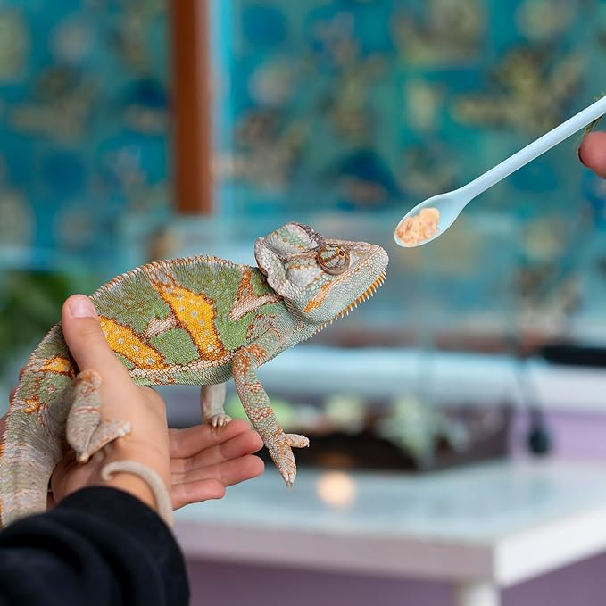 4Pcs Reptile Feeding Spoon Crested Gecko Food Mixing Spoon fit Lizard Gargoyle Bearded Dragon