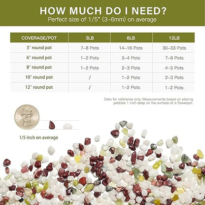NUPICK 3 lbs Pebbles for Indoor Plants, 1/5 Inch Pea Gravel for Fish Tank, Polished Decorative Rocks for Succulent, Natural River Stones for Vases, Cactus, Landscaping, Bird Bath, Colorful Mixed