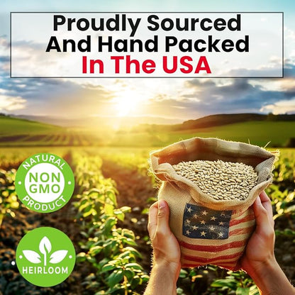 NatureZ Edge Cat Grass Seeds & Catnip Seeds - 3 Pack Variety Kit, Cat Grass for Indoor Cats, Oat & Barley Seeds for Planting, Cat Plant, Indoor Cat Grass Kit, hierba para Gatos