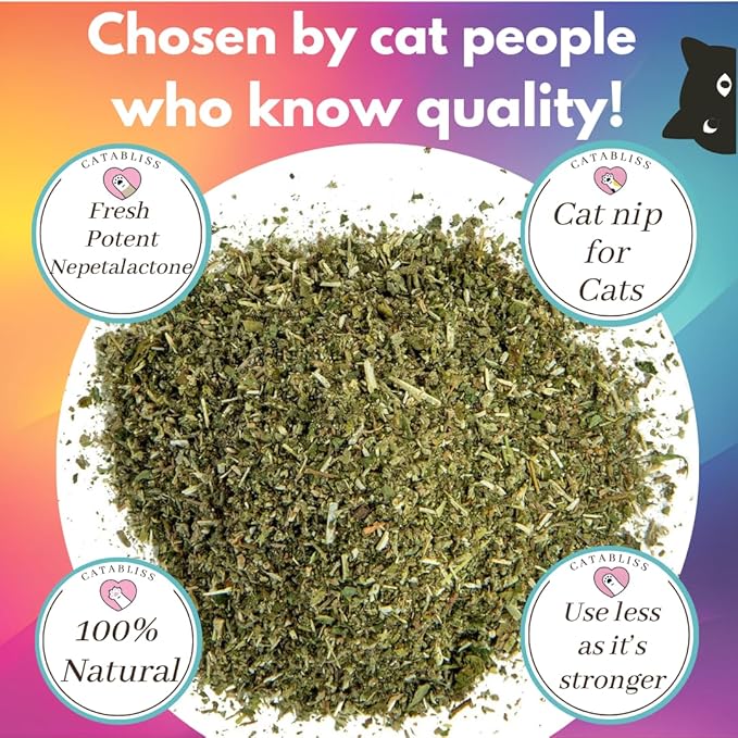 Catnip for Cats – 1oz Jar - 100% Essential Natural Cat Nip Herb Resealable Jar - Fresh Aroma Stimulates Activity & Enhancing Play for Indoor Cats - Great for Cat Nip Toys, Play & Training