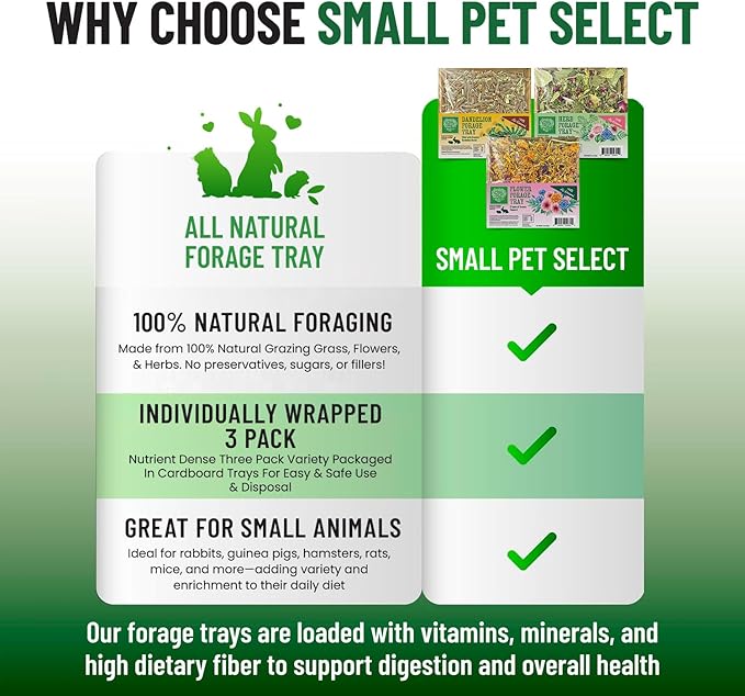 Small Pet Select Forage Tray Bundle, 3 Pack of Foraging Trays for Rabbit, Guinea Pig, Hamster or Bunny - Natural Treats, Dandelion, Flower, Herb Mix 2.5oz Each