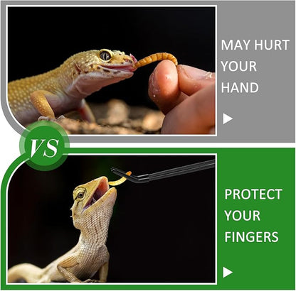 Lasnten 2 Pcs Extra Long Stainless Steel Reptile Feeding Tongs with Rubber Tip Bearded Dragon Aquarium Straight and Curved Long Tweezer Terrarium Feeder Tool for Tank(Black, 15 Inch)