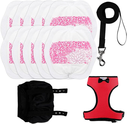 10 Pack Super Absorbent Pet Training Pads + 1 Set Durable Pet Leash & Harness | Leak-Proof Essentials for Indoor & Travel (S Size)