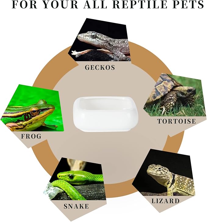 Reptile Food Bowls Ceramic Square Reptile Water Food Dish, Pet Food Bowl for Lizards, Young Bearded Dragons, Small Snakes, Gecko Tortoise Spider (White, Large-1Pack)