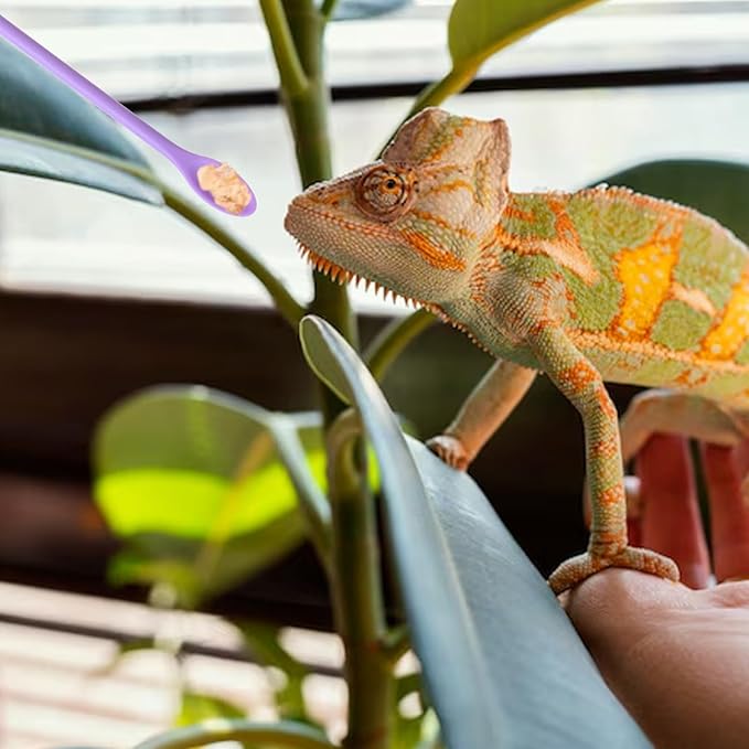 4Pcs Reptile Spoon Long Handle Crested Food Spoons Feeding Tongs Crested Gecko Feeding Spoon Aquarium Feed Tools for Gecko Lizard Gargoyle Bearded Other Small Animals 11.8In 9.3In 6In