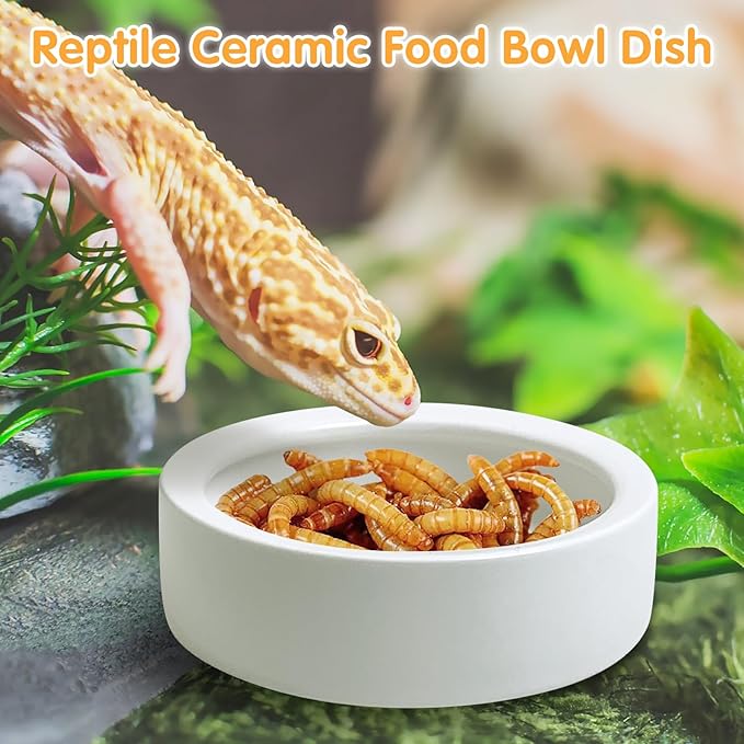 Tfwadmx 2 Pack Reptile Food Bowl, Ceramic Water Feeder Bowl, Reptile Worm Feeding Dish for Lizard Turtle Bearded Dragon Anoles Crested Gecko Hermit Crab Leopard Gecko Chameleon Corn Snake