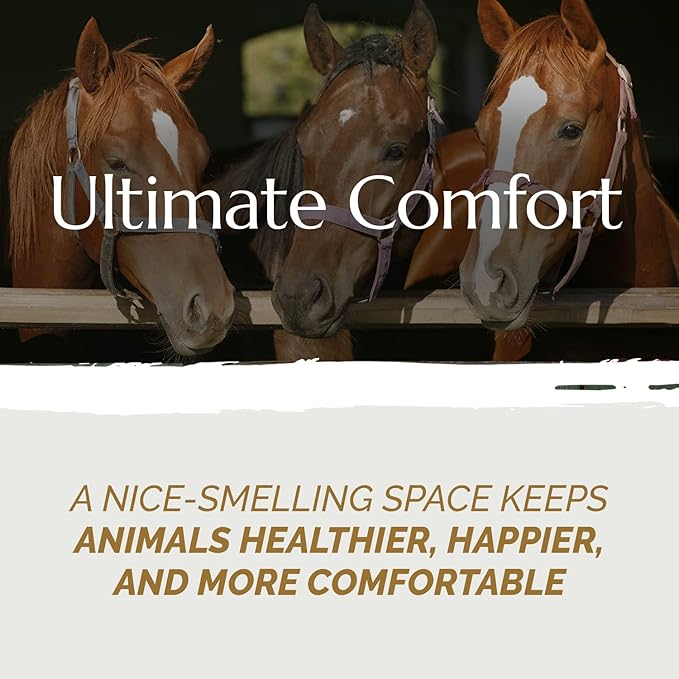 High Grade French Hemp Bedding, 44lb (400L) Jumbo Bulk Bag of Extremely Low Dust Shavings for Horses, Chickens, Small Animals, Rats, Guinea Pigs, Bunny Rabbits, Reptiles, Good Chicken Coop Bedding