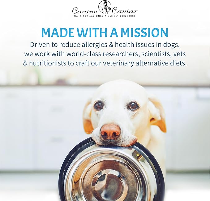 Canine Caviar - Free Spirit: Chicken & Pearl Millet Alkaline Dry Dog Food, Limited Ingredients, Gluten-Free, Based on Science & Research, Veterinary Alternative Diet (22 Pound Bag)