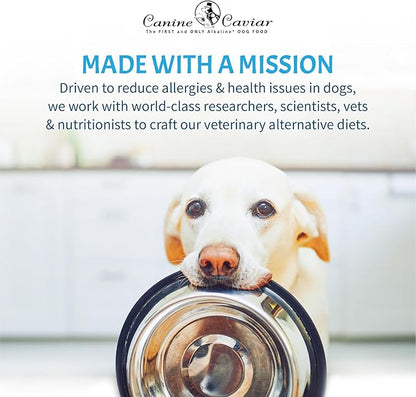 Canine Caviar - Free Spirit: Chicken & Pearl Millet Alkaline Dry Dog Food, Limited Ingredients, Gluten-Free, Based on Science & Research, Veterinary Alternative Diet (22 Pound Bag)