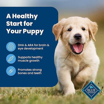 Blue Buffalo Life Protection Formula Puppy Dry Dog Food with DHA and ARA, Made with Natural Ingredients, Chicken & Brown Rice Recipe, 15-lb Bag