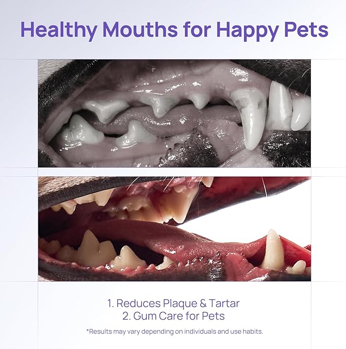 HICC PET Teeth Cleaning Gel for Dogs and Cats, Vet-Recommended Dog Dental Care Toothpaste for Breath Freshener, Ggingivitis Treatment, Prevent Infection & Bad Breath, Plaque & Tartar Remover, 2 Fl Oz