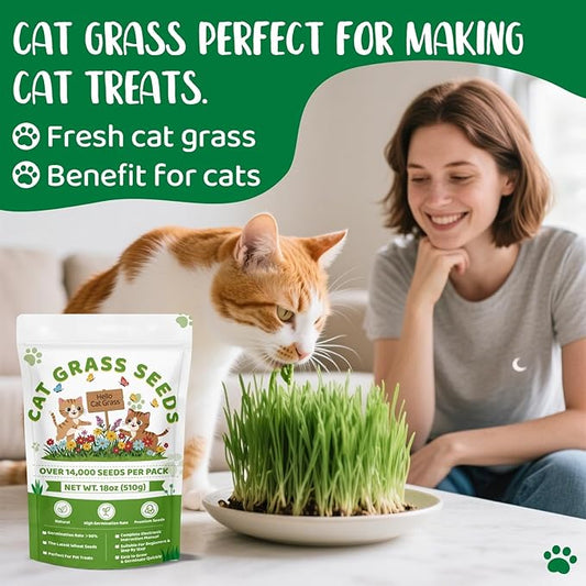 18oz Large Pack Cat Grass Seeds Bulk - Over 14000+ Premium Cat Grass for Indoor Cats & Pets, High Germination Rate & Easy to Grow, Non-GMO Wheat Grass Seed for Planting(510g)