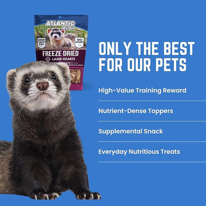 Atlantic Rush Freeze Dried Small Pet Treats - Resealable Bag of Turkey Heart Treats for Ferrets - Ferret Snacks - Single Ingredient Ferret Food with No Preservatives Or Fillers- Small Animals Treats