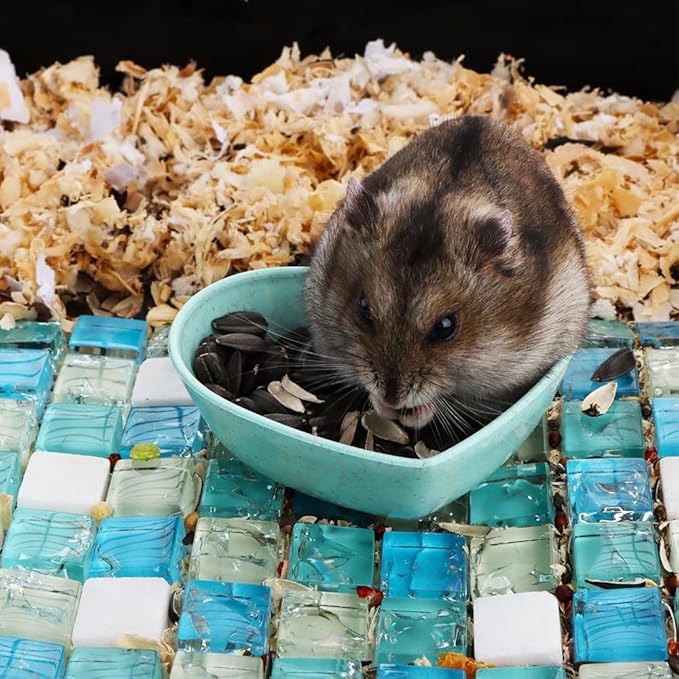 3 Pack Hamster Food Dish Small Cute Shape Food Bowl for Hamster Hedgehog Small Animals (Green, Blue and Pink)