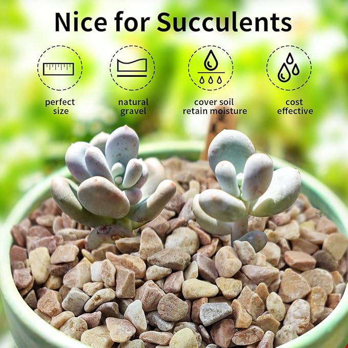 10 LB Natural Pea Gravel Small Pebbles - 3/8 Inch Decorative Pebbles for Indoor Plants,Terrarium Rocks, Outdoor Decorative Rocks, Vase, Succulent Rocks, Aquarium Gravel and Landscaping Rocks