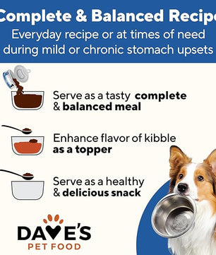 Dave's Pet Food Sensitive Stomach Dog Food (Chicken & Rice), Easy to Digest, Gluten-Free, Digestive Care, Wet Canned, 5.5 oz (Case of 24)