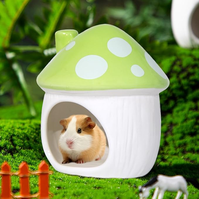 Ceramic Mushroom Hamster Hideout - Hamsters Habitat for Hamsters Chinchillas Hedgehogs and Gerbils Mouse Small Pet Guinea Pigs House Hamster Bed (Green)