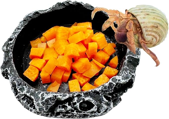 Reptile Water Dish Food Bowl, 3 Pack Reptile Feeding Terrarium Bowls for Bearded Dragon Lizard Frog Gecko Tortoise Hermit Crab Snail (Black)
