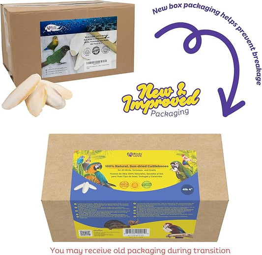 Birds LOVE Natural Cuttlebone – Premium Calcium for Cockatiel, Parrots, Tortoise, Snails, Crabs and Chinchillas - Pure Cuttlebone for Birds - Parakeet Food and Bird Treats - 4lb, Size 3.5 to 4"