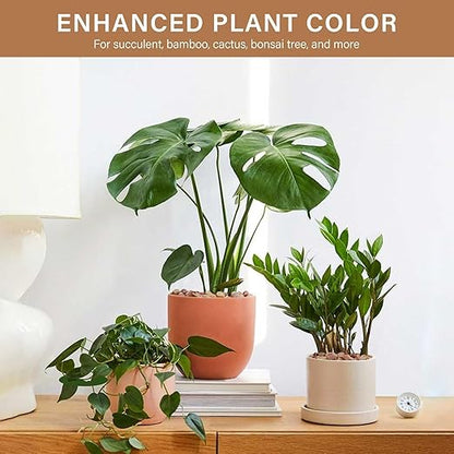 NUPICK 6 lbs Pebbles for Indoor Plants, 3/8 Inch Pea Gravel for Fish Tank, Decorative Rocks for Succulent, Natural River Stones for Vases, Cactus, Landscaping, Bird Bath, Aquarium, Peach