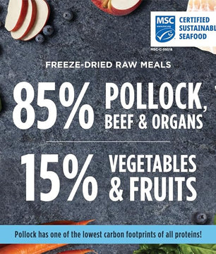 Instinct Freeze Dried Raw Meals, Natural Dry Dog Food, Grain Free - Wild Caught Pollock, 3 oz. Bag