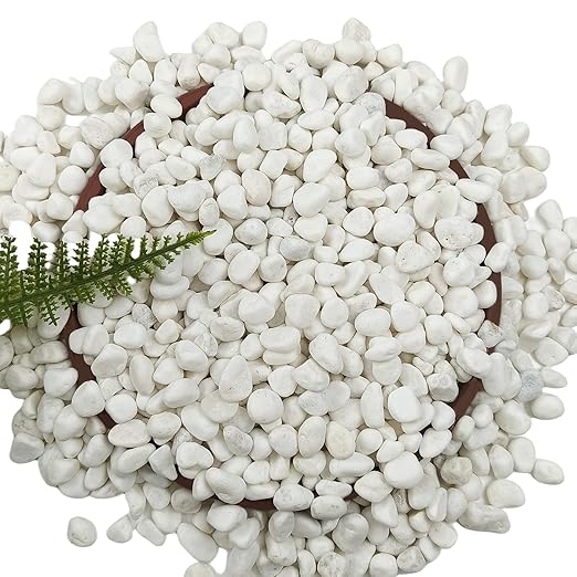 5 LB Natural White Gravel for Plants, Succulents & Cactus, Aquarium, Fish Tank, 0.6 inch Small White Pebbles for Vases, Rocks for Landscaping, Indoor Potted Plants, Garden and Home Decorative Stones