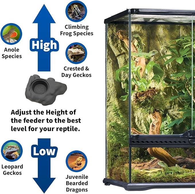 Pangea Silicone Gecko Feeding Ledge - Magnetic Mini Food Dish for Reptile Tank - 4.125" x 2.625" x 1.18" - Fits 0.5oz Cups (Black)