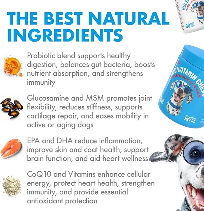 Dog Vitamins - 30 Multivitamins Chews w/Glucosamine Chondroitin, Probiotics Digestive Enzymes and Omegas - Supplement for Overall Health - Joint Support, Immune Health, Skin and Heart Health