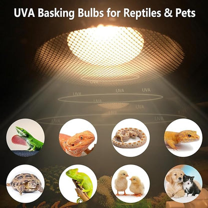Intense 75W UVA Daylight Heat Lamp Bulbs for Basking - Simulated Sunlight Perfect for Desert-Dwelling Reptiles and Amphibians Like Bearded Dragons, Geckos, Iguanas, Lizards, (Pack of 2)