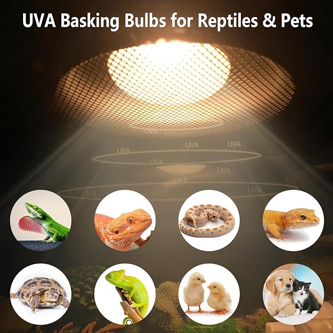 Pack of 2 Reptile Basking Light Bulbs - Incandescent 100W Simulated Sunlight UVA Heat Bulbs for Bearded Dragons, Geckos, Iguanas, Lizards, Amphibians & Small Pets