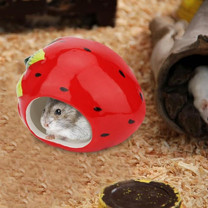Hypeety Dwarf Hamster Hideout Adorable Cartoon Shape Hamster House Chinchilla Mini Hut Small Animal Ceramic Hideout Cave (Strawberry)