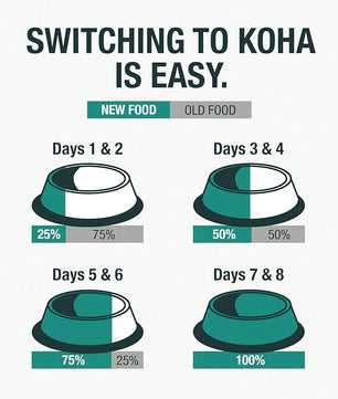 KOHA Limited Ingredient Diet Turkey Entrée for Dogs - Grain Free Wet Dog Food with No Fillers - Sensitive Stomach Canned Dog Food - 13 oz Pack of 12