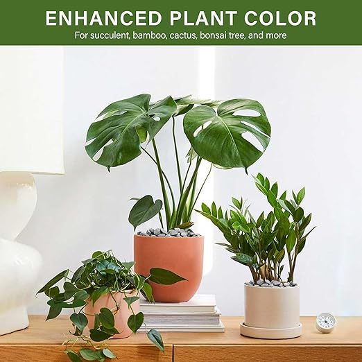 NUPICK 12 lbs Pebbles for Indoor Plants, 3/8 Inch Pea Gravel for Fish Tank, Decorative Rocks for Succulent, Natural River Stones for Vases, Cactus, Landscaping, Bird Bath, Aquarium, Grey