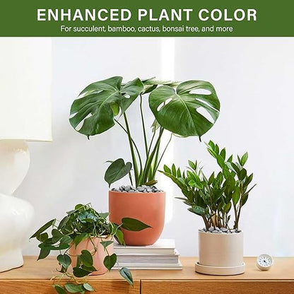 NUPICK 12 lbs Pebbles for Indoor Plants, 3/8 Inch Pea Gravel for Fish Tank, Decorative Rocks for Succulent, Natural River Stones for Vases, Cactus, Landscaping, Bird Bath, Aquarium, Grey