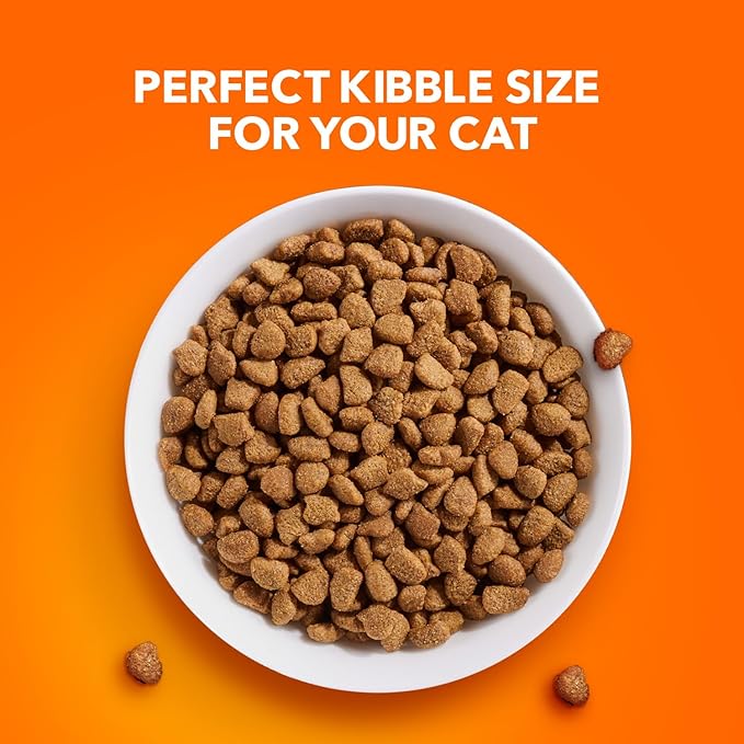 IAMS Proactive Health Indoor Weight Control & Hairball Care Adult Dry Cat Food, Chicken & Turkey Recipe, 16 lb. Bag