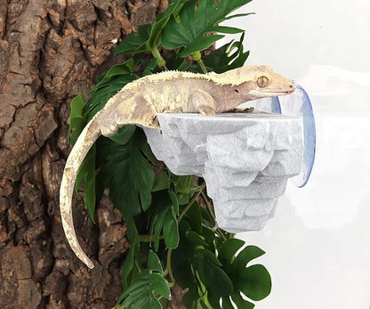 Crested Gecko Feeding Ledge with 10Pcs 0.5oz Food Dish Feeder Bowls