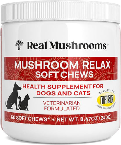 Real Mushrooms Calming Treats for Dogs & Cats – Reishi, Lion’s Mane, Botanicals – Cat & Dog Soft Chews for Daily Use – Calming Chews for Cats & Dogs – 60 ct Grain-Free Pet Bites