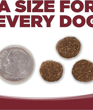 NutriSource Dog Food, Made with Beef and Brown Rice, Wholesome Grains, 5LB, Dry Dog Food
