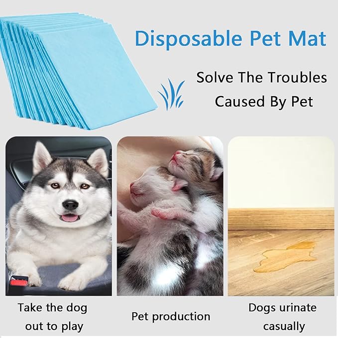 Extra Large Puppy Pads,36"x36" Pee Pads for Dogs,50 Count Training Dog Pee Pads Absorbent & Leak-Proof &Quick Dry,Disposable Pet Potty Pads for House Training Dogs Cats, Rabbits.