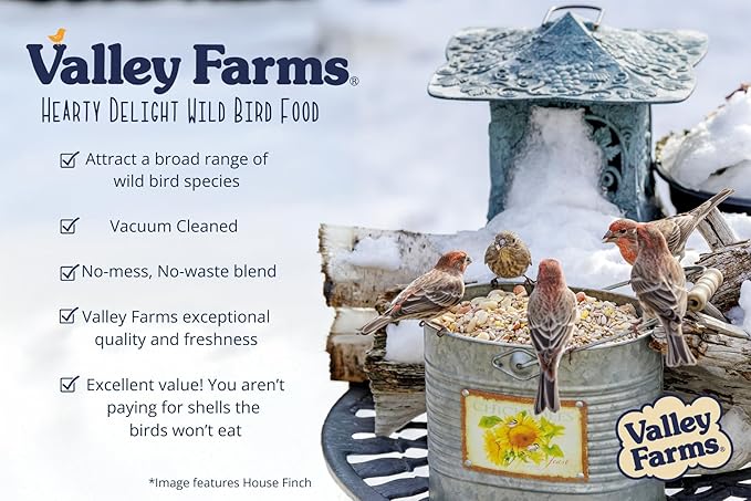 Valley Farms Hearty Delight 4 LB 2-Pack (8 LB Total) Wild Bird Food for Outside Feeders, No-Mess Wild Bird Seed with Sunflower Hearts & Peanut Kernels, No Fillers, Perfect for Outdoor Patios