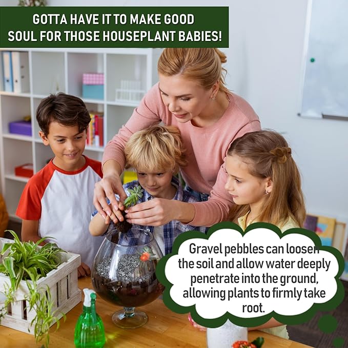 2 LBS Black Pea Gravel, Natural Succulent and Cactus Gravel Pebbles, Pebbles for Indoor Plants, Natural Gardens Mulching, for Houseplants, for Aquarium Gravel, to Maintain Soil Aeration(4-6mm)