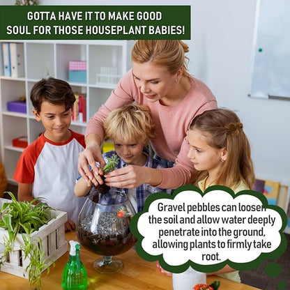 2 LBS Black Pea Gravel, Natural Succulent and Cactus Gravel Pebbles, Pebbles for Indoor Plants, Natural Gardens Mulching, for Houseplants, for Aquarium Gravel, to Maintain Soil Aeration(4-6mm)