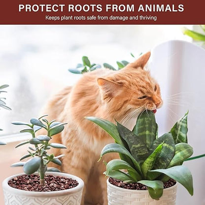 NUPICK 6 lbs Pebbles for Indoor Plants, 1/5 Inch Pea Gravel for Fish Tank, Polished Decorative Rocks for Succulent, Natural River Stones for Vases, Cactus, Landscaping, Bird Bath, Aquarium, Red