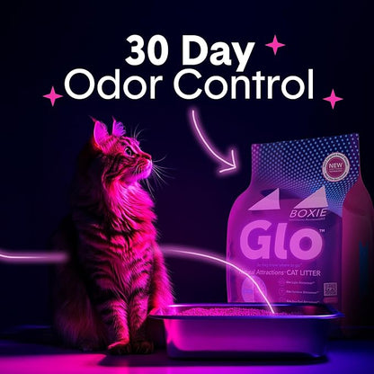 Boxie Glo Clumping Clay 30 Day Odor Control Cat Litter, 99.9% Dust-Free, Low Tracking, UV Light Attractant, 40 lb