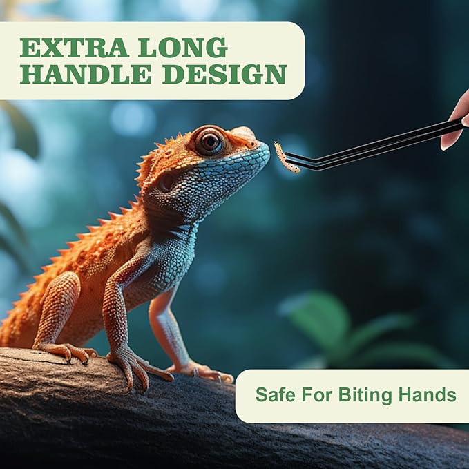 Reptile Feeding Tongs Kit, 2Pcs Extra Long Stainless Steel Reptile Feeding Tongs, 1Pcs Feeding Spoon, Small Animal Feeder Tool for Lizards, Crested Geckos, Bearded Dragons