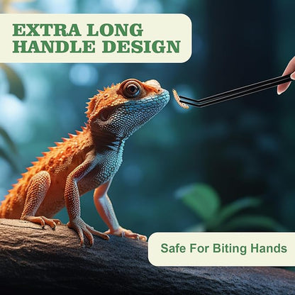 Reptile Feeding Tongs Kit, 2Pcs Extra Long Stainless Steel Reptile Feeding Tongs, 1Pcs Feeding Spoon, Small Animal Feeder Tool for Lizards, Crested Geckos, Bearded Dragons