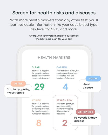 Basepaws Cat Dental Health Test | Provides Risk Scores for Oral Conditions: Periodontal Disease, Bad Breath, Tooth Resorption | Report Includes Personalized Care Recommendations