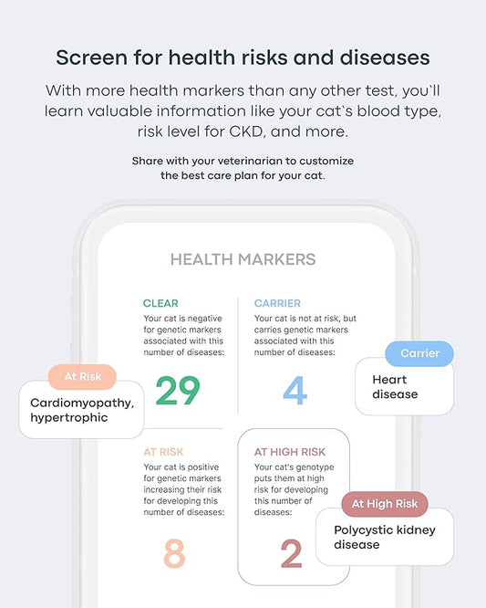Basepaws Cat Dental Health Test | Provides Risk Scores for Oral Conditions: Periodontal Disease, Bad Breath, Tooth Resorption | Report Includes Personalized Care Recommendations