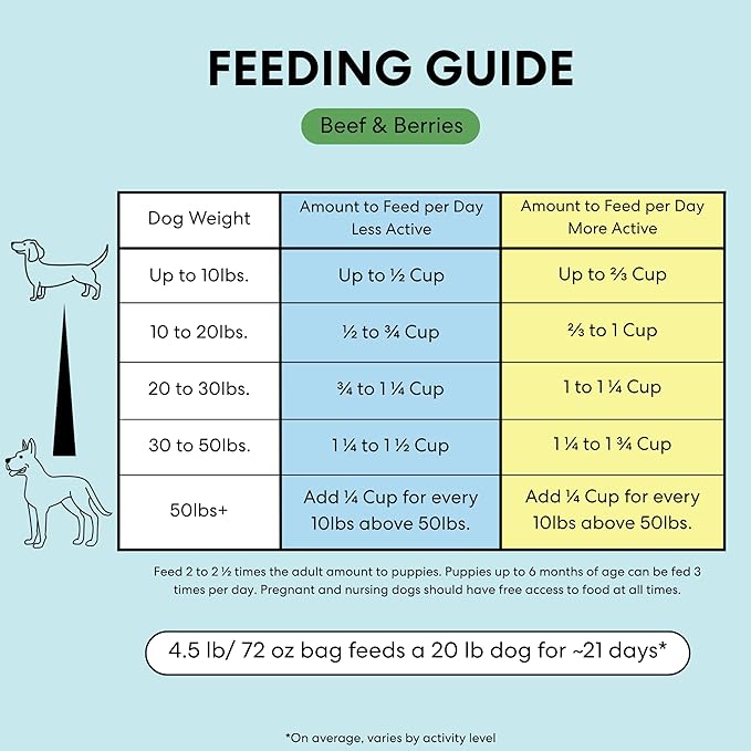 The Pets Table Beef & Berries Grain-Free Air Dried Dog Food, 3lbs / 48 oz Bag